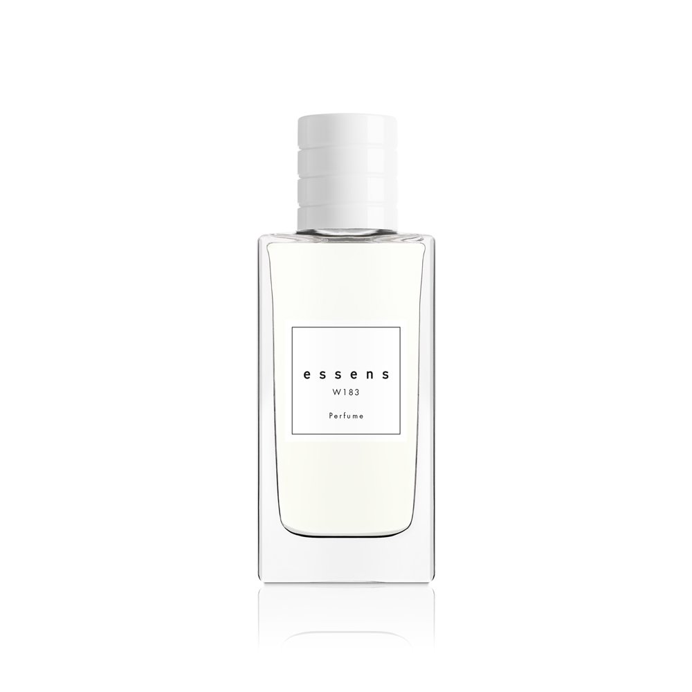w182 (copy)